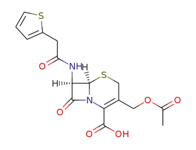 cephalothin